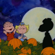 It's The Great Pumpkin, Charlie Brown!